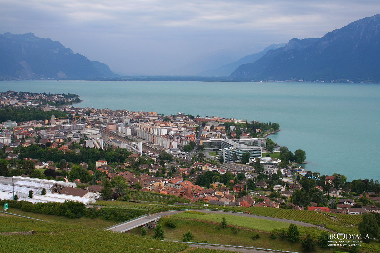 Chardonne